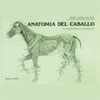 ANATOMIA DEL CABALLO
