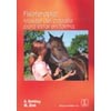 FISIOTERAPIA: MASAJE DEL CABALLO PARA ESTAR EN FORMA