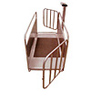 BASCULA INOX MOVIL