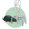 CEPO PARA TOPOS METALICO