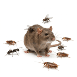 Ahuyentadores y control de plagas
