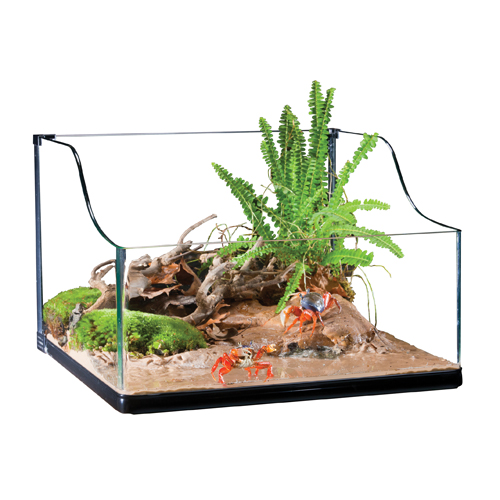 TERRARIO PARA TORTUGA PEQUEÑO TERRARIO PARA TORTUGA PEQUEÑO